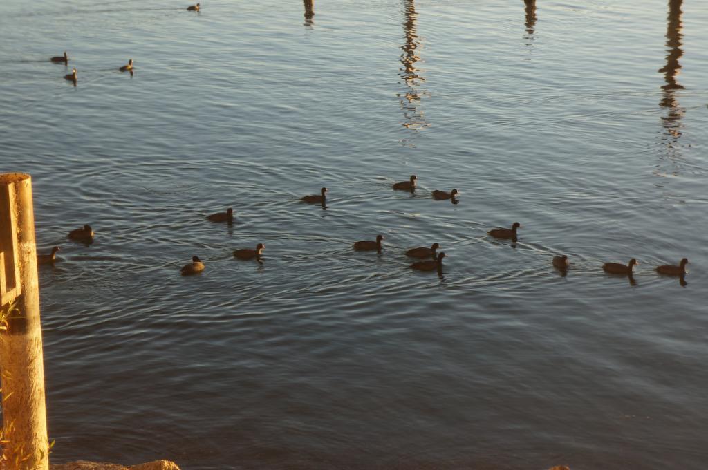 Lake Marina Inn Clearlake Oaks Luaran gambar